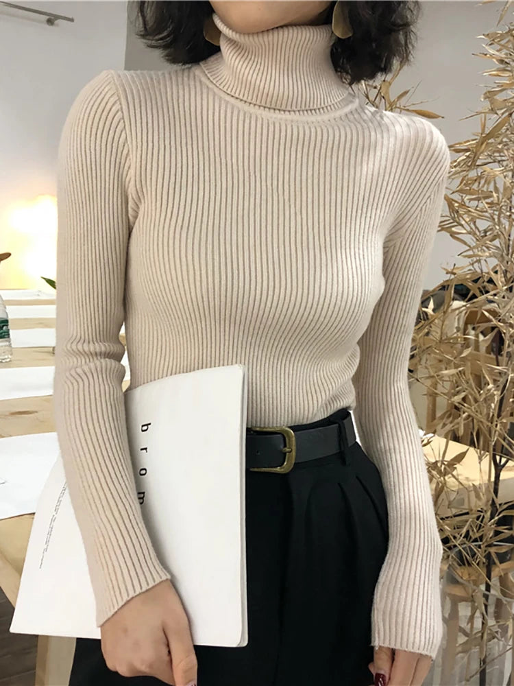 Turtleneck Korean Women Pullover Knitted Sweater Top