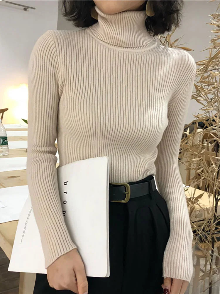 Turtleneck Korean Women Pullover Knitted Sweater Top